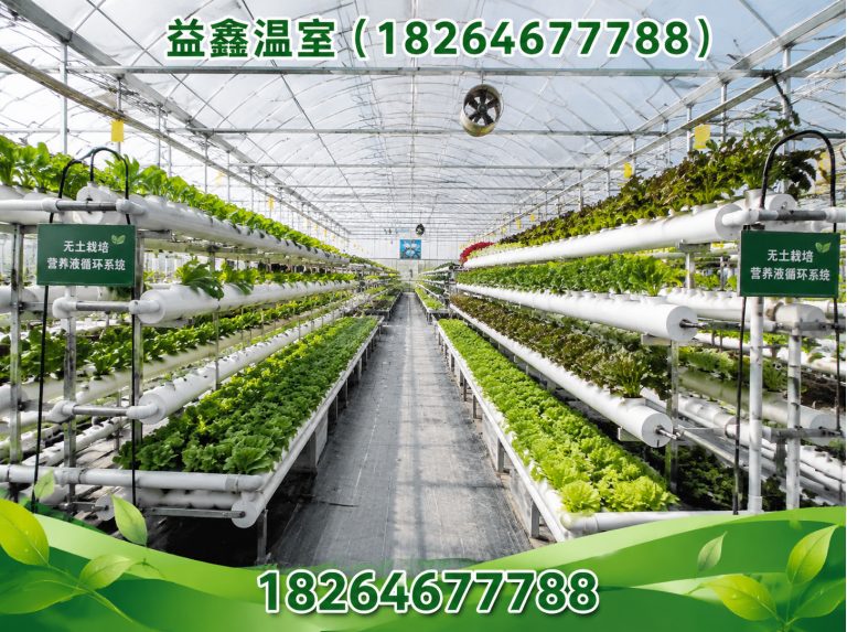 昌邑市连栋温室展示图